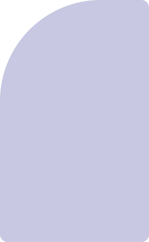 Custom Solution Interface